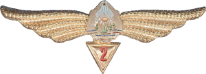 Нагрудный знак Штурман 2 класса  
