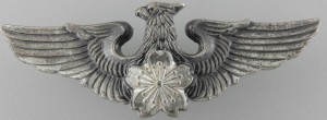 Нагрудный знак Пилот 