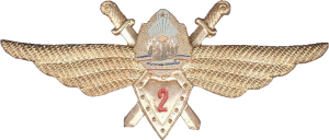 Badge Pilot 2nd class 