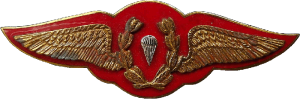 Нагрудный знак Парашютист  
