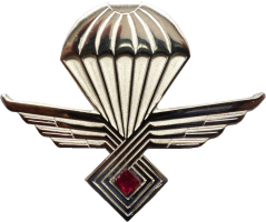 Нагрудный знак Парашютист  