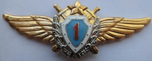 Badge Pilot 1st class 