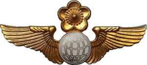 Нагрудный знак Штурман  