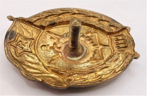 Нагрудный знак Строительное 