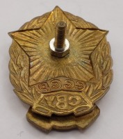 Нагрудный знак Киевское СВУ 