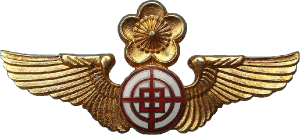 Нагрудный знак Воздушный стрелок  