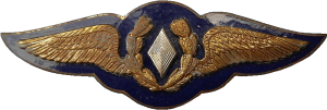 Нагрудный знак Административная служба  