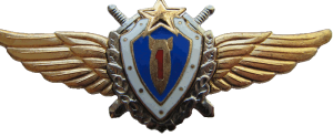 Badge Navigator 1st class 
