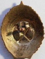 Badge  