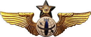 Нагрудный знак Штурман-бомбардир  