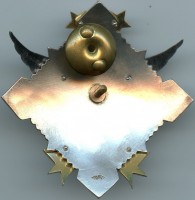 Нагрудный знак ВВС 