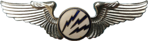 Badge Radioman 