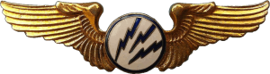 Badge Radioman 