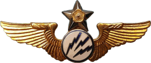 Нагрудный знак Воздушный радист  