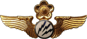 Badge Radioman 