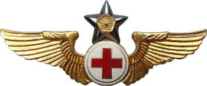 Нагрудный знак Санитарный персонал  
