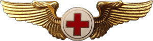 Нагрудный знак Санитарный персонал  