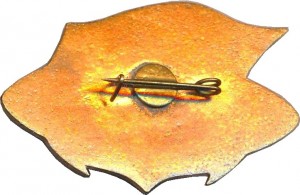 Нагрудный знак 25 лет, 