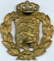 Нагрудный знак Кокарда 