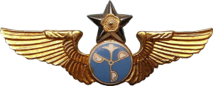 Badge Meteorologist 