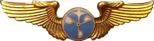 Badge Meteorologist 