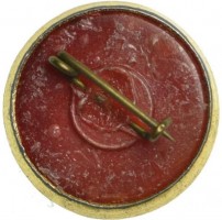 Нагрудный знак Валентина Терешкова 