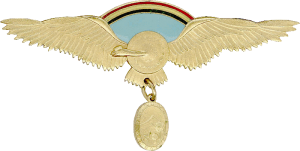 Нагрудный знак Пилот командного ранга  