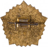 Badge  