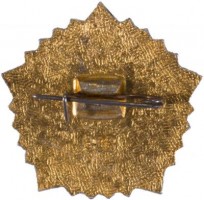Badge  