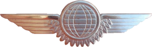Badge Air crewman 2nd class 