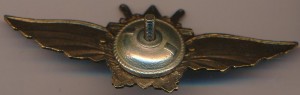 Нагрудный знак 76 воздушная армия 