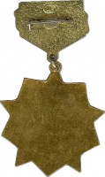 Нагрудный знак Ветеран Гвардия 