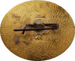 Нагрудный знак Первый спутник 1957 год 