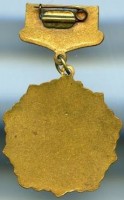 Нагрудный знак Чемпион 11 Спартакиады Ленинабадская обл, бег 