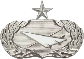 Badge Senior Historian Badge 