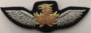 Badge Pilot 