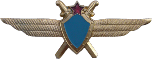 Badge Pilot without class 