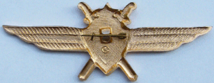 Badge Pilot without class 