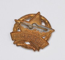 Badge Military Parade Badge 1955 