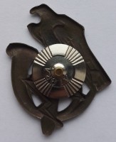 Нагрудный знак Кокарда батальона 