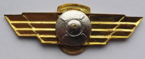 Нагрудный знак ВВС 
