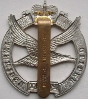 Нагрудный знак Планерный полк 