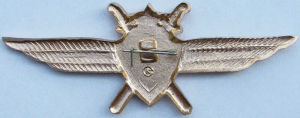 Badge Pilot 3rd class 