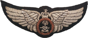 Badge Pilot 