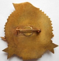 Badge  
