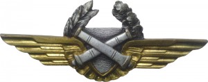 Нагрудный знак Воздушный наблюдатель 