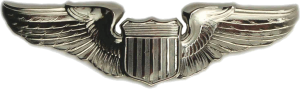 Нагрудный знак Пилот  