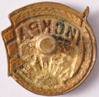 Нагрудный знак ДСО 
