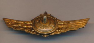 Нагрудный знак Мастер вождения 