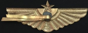 Нагрудный знак ВВС 